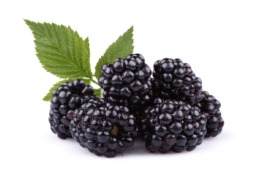 Brombeeren