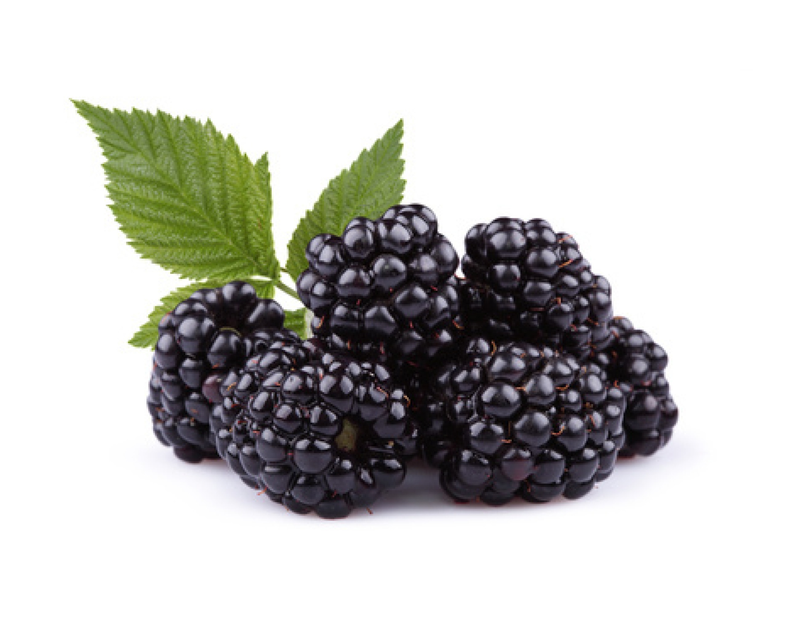 Brombeeren