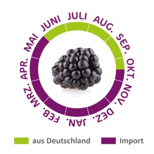 Aus Deutschland oder importiert? Der Saisonkalender liefert die Antwort.