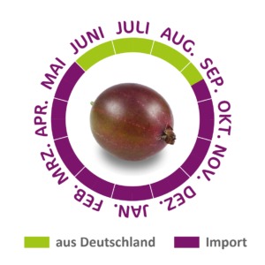 Aus Deutschland oder importiert? Der Saisonkalender liefert die Antwort.