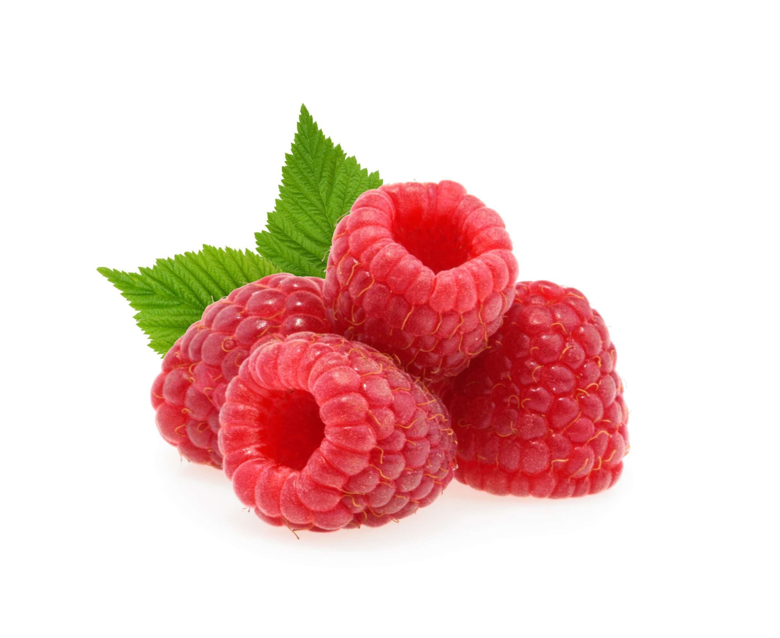 Himbeeren